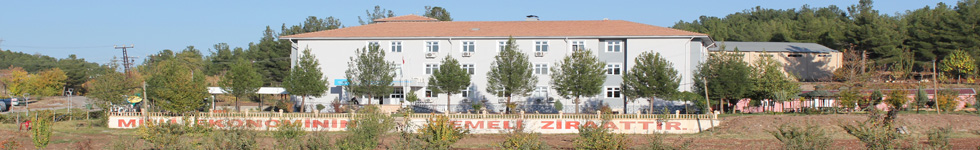 Acil Durumlar ve Savunma Planlaması Dairesi Başkanlığı ihdas edilmiştir.