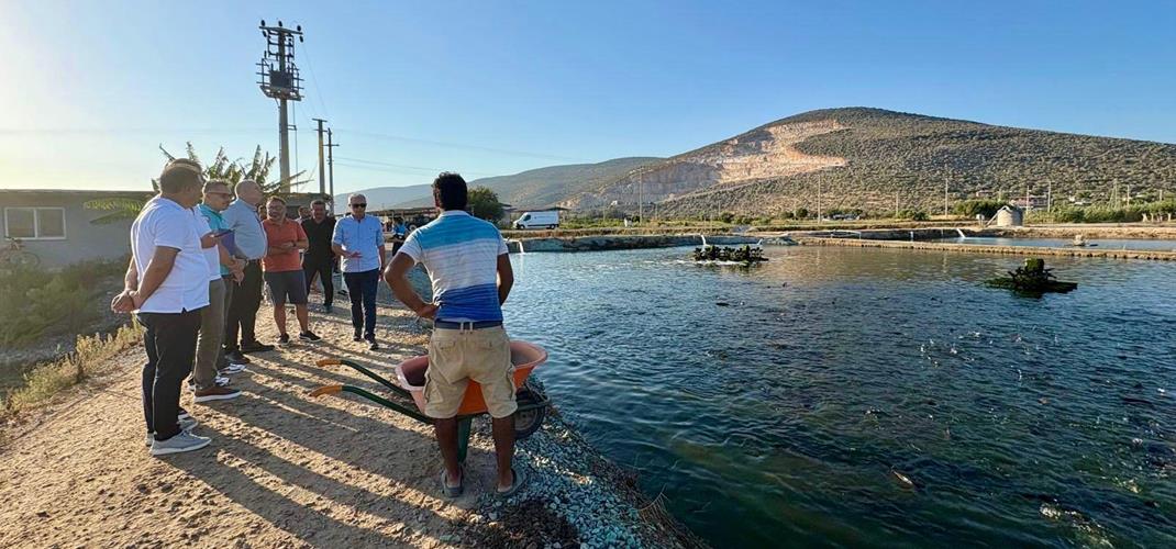 Türkiye’nin Ev Sahipliğinde Eurofish Conference 2026 Hazırlıkları Başladı