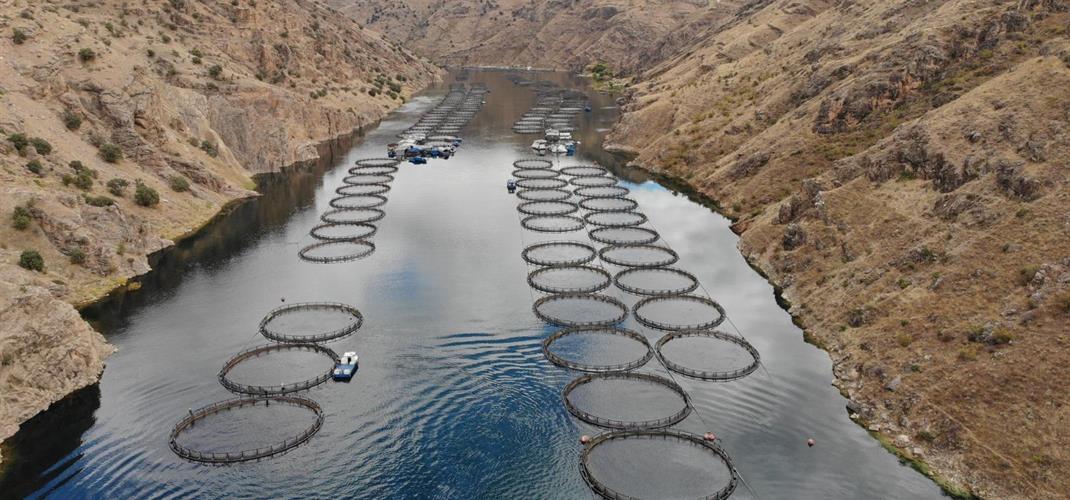 İLAN: 3 Baraj Gölünün Su Ürünleri Yetiştiriciliğine Açılması Hk