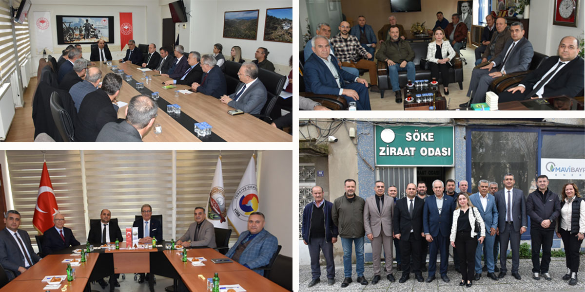 AYDIN'DA BİTKİSEL ÜRETİM PLANLAMASI TOPLANTISI VE SAHA ÇALIŞMALARI YAPILDI