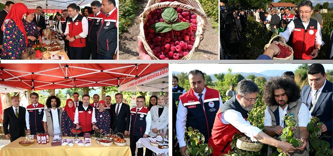 BOLU’DA ORGANİK AHUDUDU HASADI GERÇEKLEŞTİRİLDİ