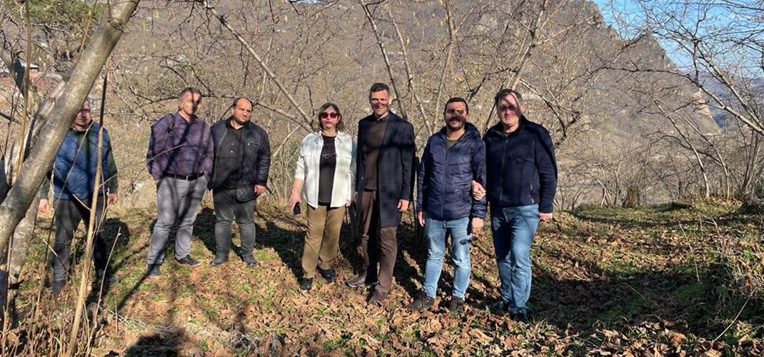 Karadeniz Fındık ve Çay Alanlarının Rehabilitasyonu Projesi Kapsamında Yerinde İncelemeler Yapıldı