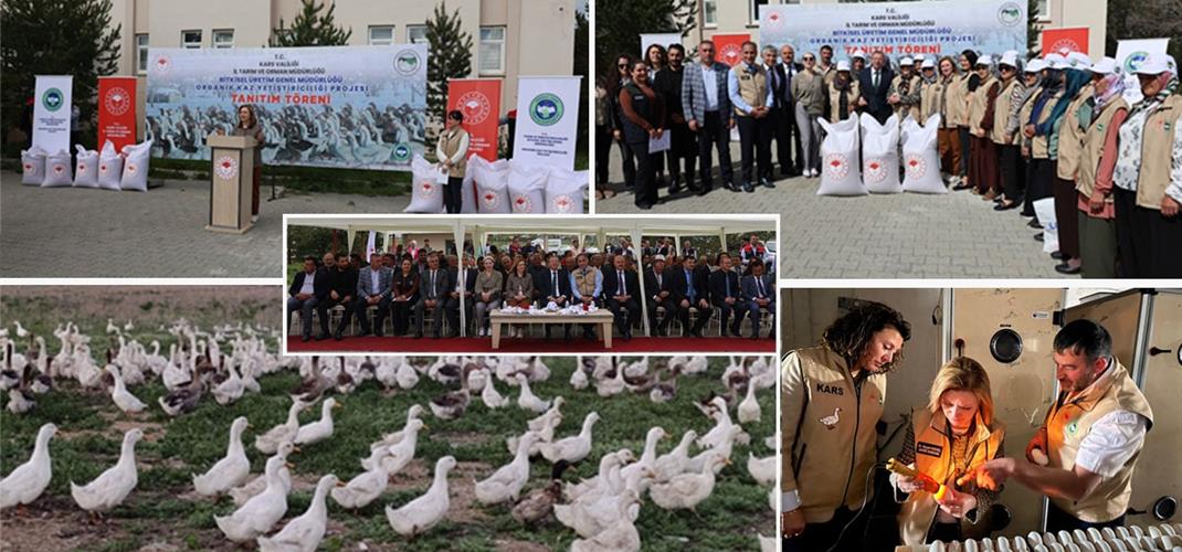 TÜRKİYE’NİN İLK ORGANİK KAZ YETİŞTİRİCİLİĞİ PROJESİ KARS’TA HAYATA GEÇİRİLDİ
