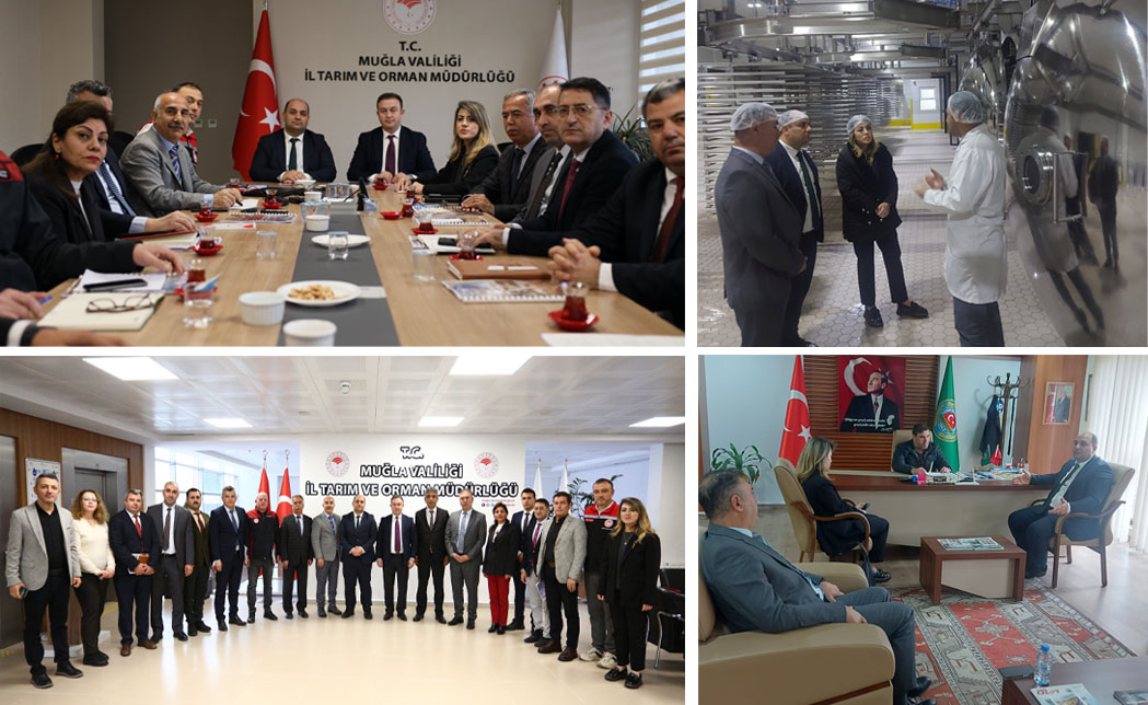 MUĞLA'DA BİTKİSEL ÜRETİM PLANLAMASI TOPLANTISI VE SAHA ÇALIŞMALARI YAPILDI