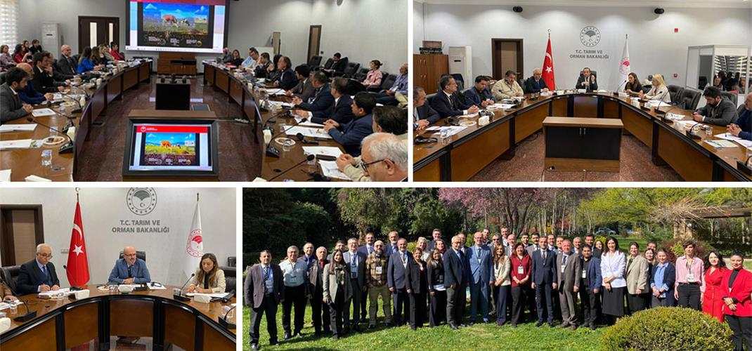 TÜRKİYE ULUSAL MERA YÖNETİM SİSTEMİ MERA KARBON SEKESTRASYONU VE METAN EMİSYONU ÇALIŞTAYI BAŞLADI