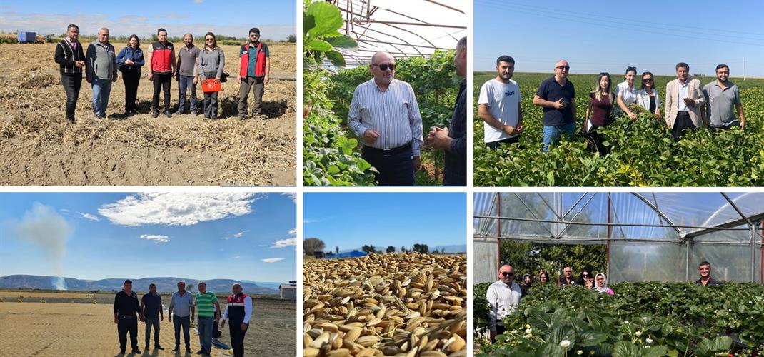 TAKE PROJESİ KAPSAMINDA MARDİN, KONYA, ÇANKIRI, KIRIKKALE, BOLU VE ÇORUM İLLERİNE SAHA ZİYARETLERİ GERÇEKLEŞTİRİLDİ