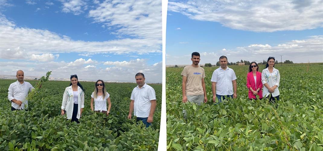 GENEL MÜDÜRLÜĞÜMÜZCE ŞANLIURFA'DA TAKE PROJESİ SAHA ZİYARETLERİ GERÇEKLEŞTİRİLDİ