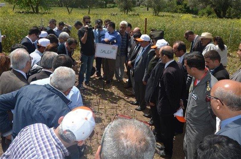 Muğla'da Salep Tarla Günü Yapıldı.