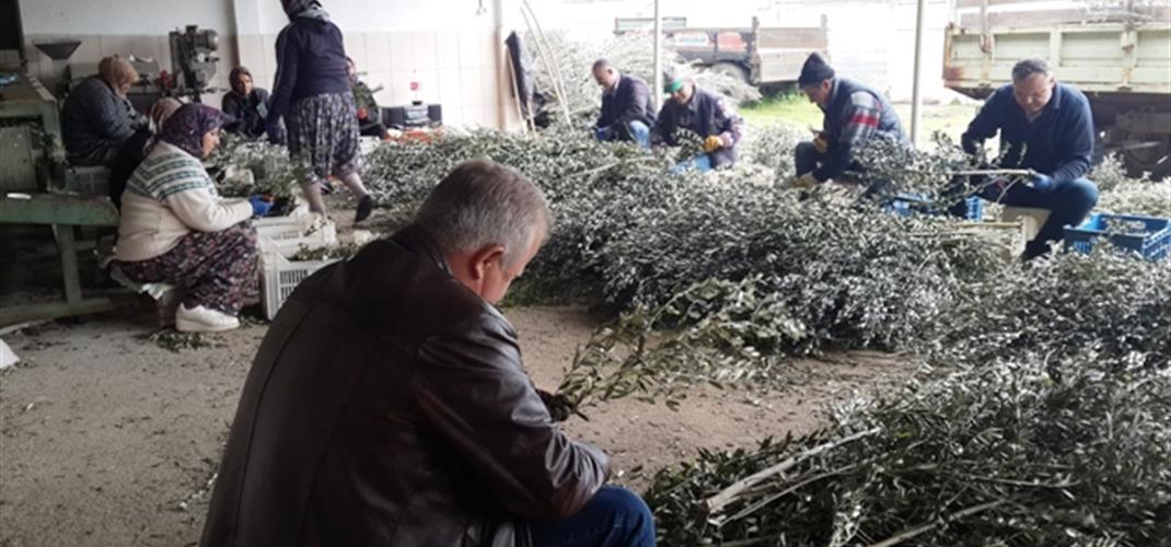 2026 Staj Başvuruları Hakkında