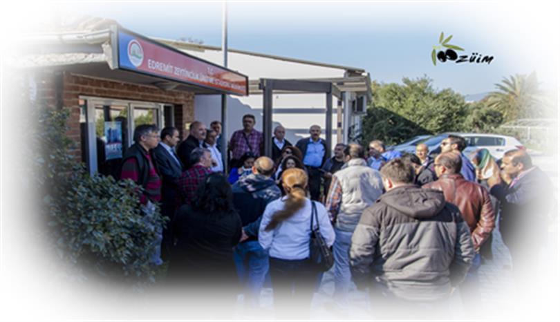 Zeytin Yetiştiriciliği ve Ürün Değerlendirilmesi Kursu Tamamlandı.