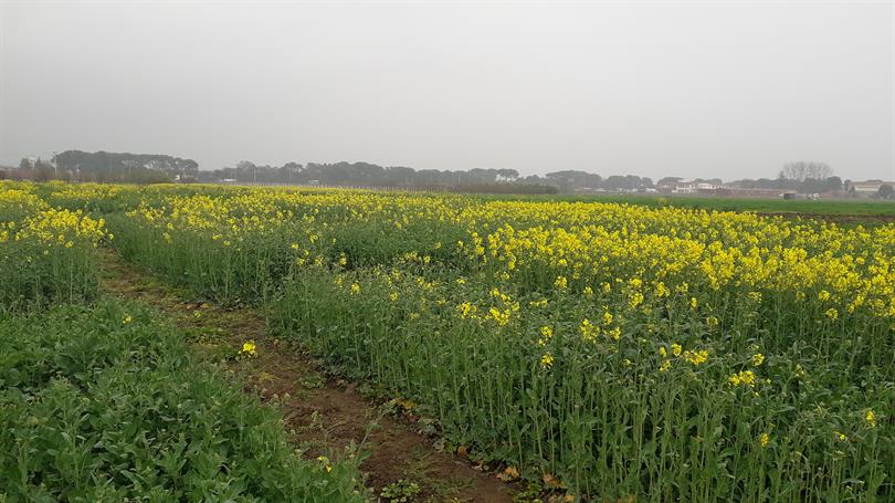Müdürlüğümüzde Tescil Çalışmaları devam etmektedir...