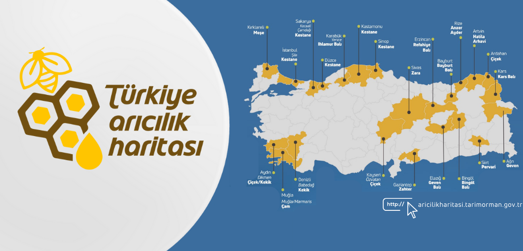 BAKAN YUMAKLI: TÜRKİYE ARICILIK HARİTAMIZA FLORA ÇEŞİTLİLİĞİ VE BİTKİ ÇİÇEKLENME DÖNEMLERİ İLE BAL ORMANLARI DA EKLENDİ