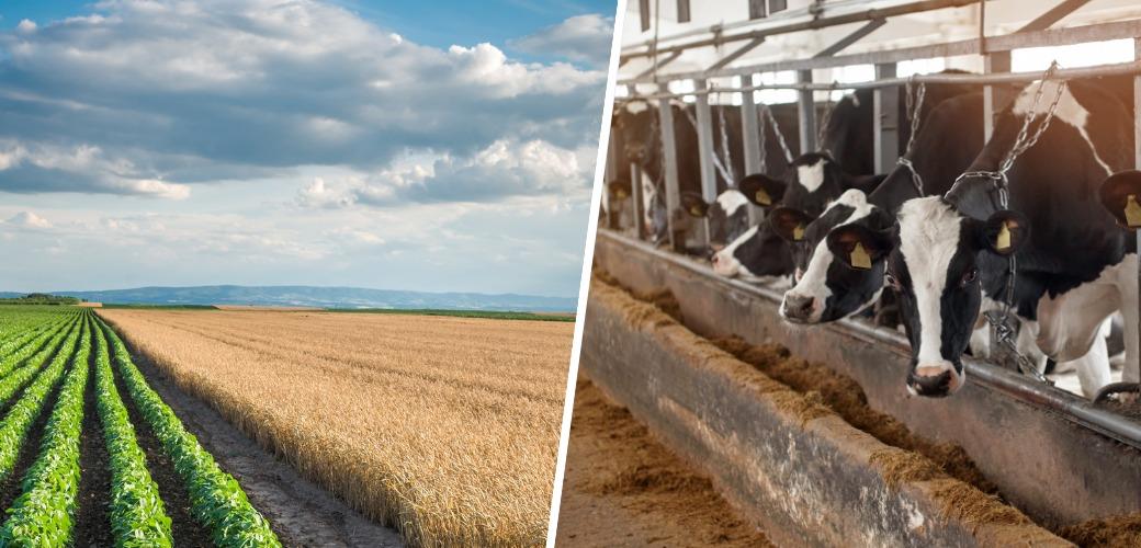 TARIM VE ORMAN BAKANI YUMAKLI, TARIM SAYIMI İÇİN İLK ADIMIN ATILDIĞINI AÇIKLADI