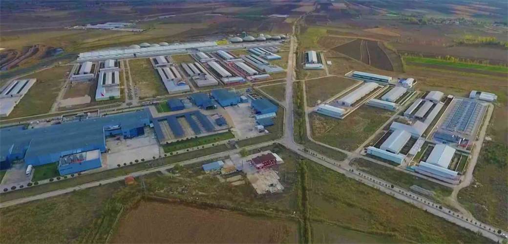 AMASYA SULUOVA BESİ OTB'NİN KIRMIZI ET ÜRETİMİNE KATKISI SÜRÜYOR