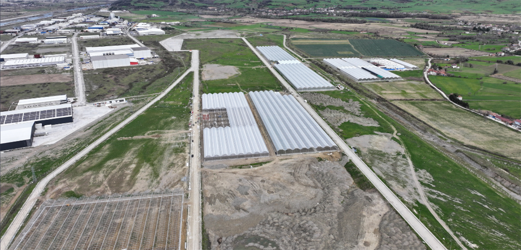 SAMSUN BAFRA SERA ORGANİZE TARIM BÖLGESİ'NDEN EKONOMİYE YILLIK 1,5 MİLYAR LİRA KATKI