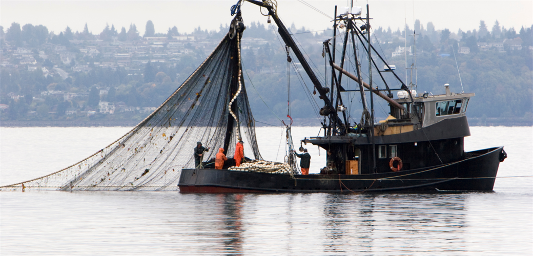 BAKAN YUMAKLI: “SON YILLARIN EN VERİMLİ HAMSİ SEZONLARINDAN BİRİNİ GERİDE BIRAKTIK”