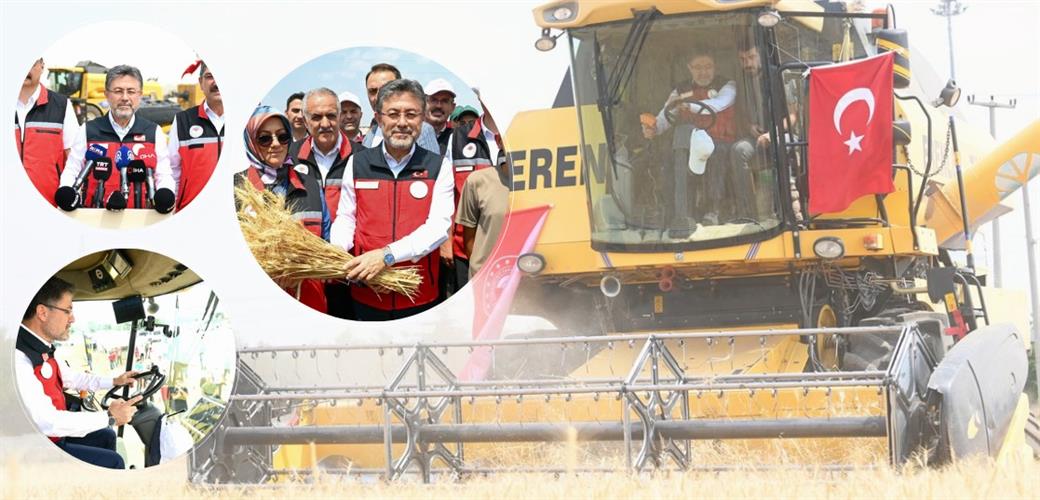 BAKAN YUMAKLI, BATMAN'DA BUĞDAY HASADINA KATILDI