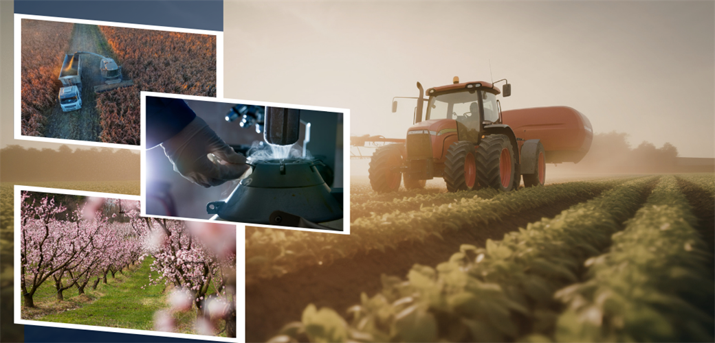 19.5 MİLYAR LİRALIK DESTEKLEME ÖDEMESİ HESAPLARA AKTARILIYOR