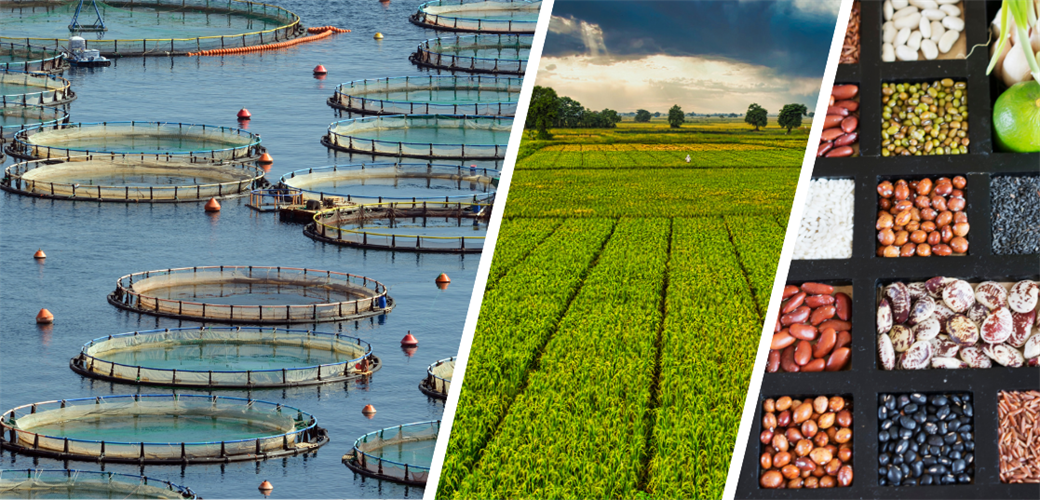 255 MİLYON LİRALIK DESTEKLEME ÖDEMESİ BUGÜN ÇİFTÇİLERİN HESAPLARINA AKTARILIYOR