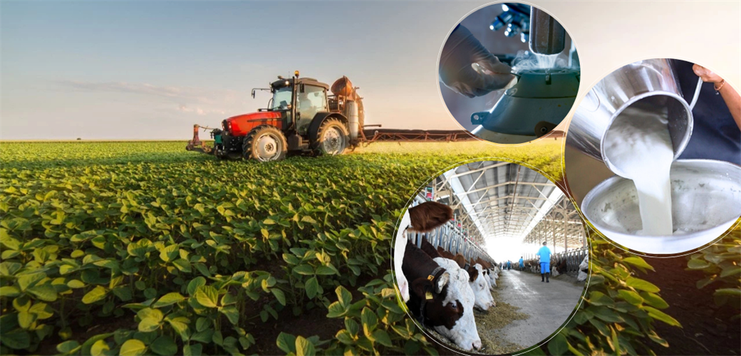 YAKLAŞIK 11 MİLYAR LİRALIK DESTEKLEME ÖDEMESİ BUGÜN HESAPLARA AKTARILIYOR