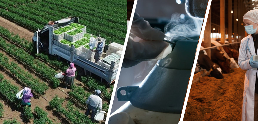 17 MİLYAR LİRALIK DESTEKLEME ÖDEMESİ HESAPLARA AKTARILIYOR