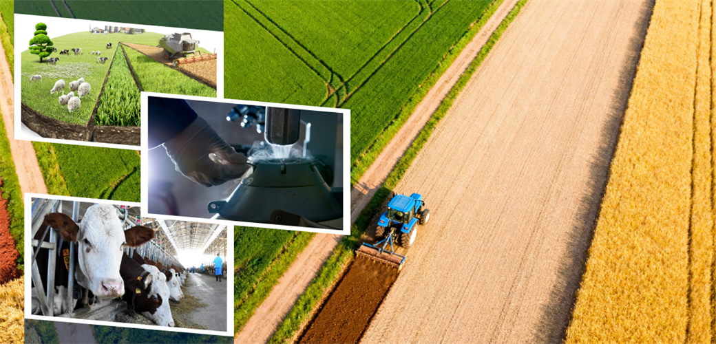 YAKLAŞIK 227 MİLYON LİRALIK DESTEKLEME ÖDEMESİ BUGÜN HESAPLARA AKTARILIYOR