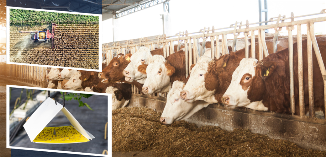 YAKLAŞIK 351 MİLYON LİRALIK TARIMSAL DESTEKLEME ÖDEMESİ HESAPLARA AKTARILIYOR