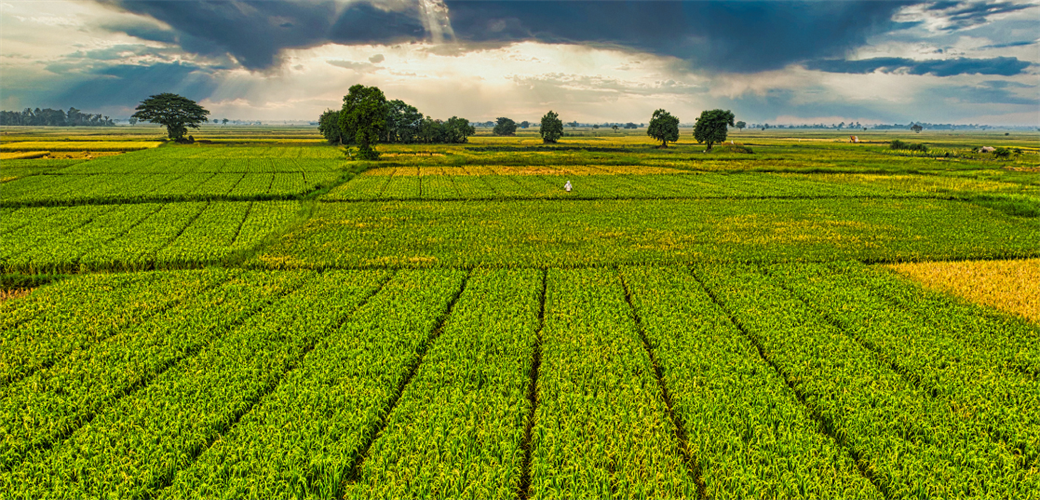 IPARD-III KAPSAMINDA 156 YEREL EYLEM GRUBUNA 2,2 MİLYAR LİRA HİBE DESTEĞİ VERİLECEK