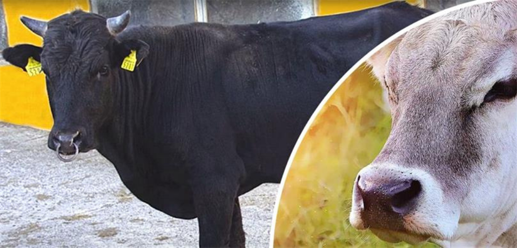 HALK ELİNDE ISLAH PROJELERİ"NE TOPLAM 2,7 MİLYAR LİRA DESTEK SAĞLANDI