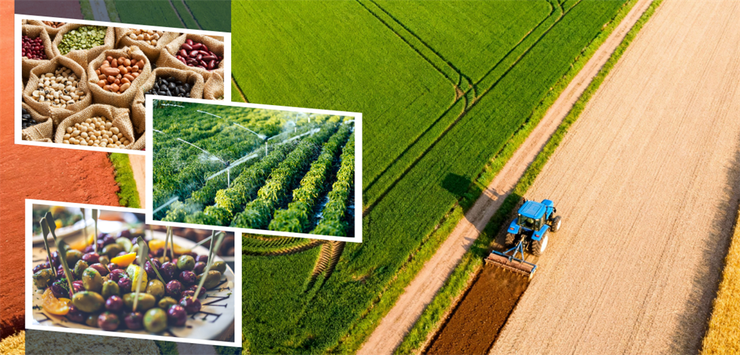 YAKLAŞIK 332 MİLYON LİRALIK DESTEKLEME ÖDEMESİ BUGÜN HESAPLARA AKTARILIYOR