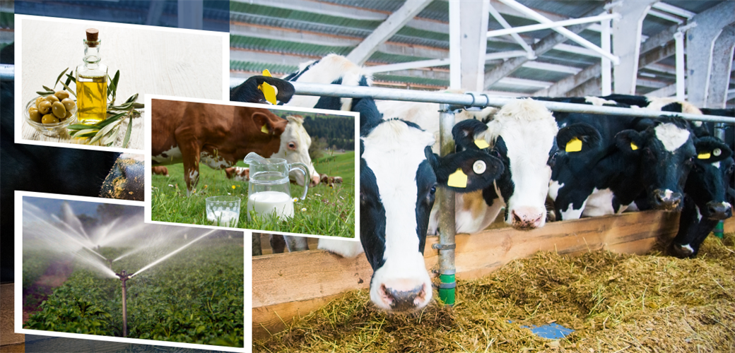 ÇİFTÇİLERE BUGÜN 2 MİLYAR 5 MİLYON LİRALIK TARIMSAL DESTEKLEME ÖDEMESİ YAPILACAK