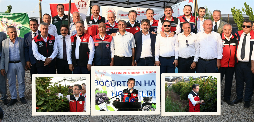 TARIM VE ORMAN BAKANI İBRAHİM YUMAKLI, SİİRT'TE BÖĞÜRTLEN HASADINA KATILDI
