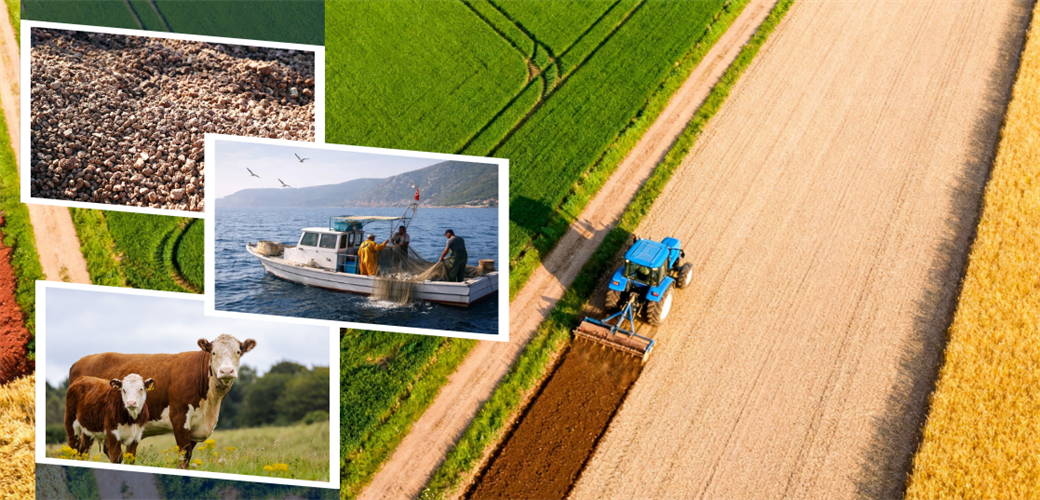 3.7 MİLYAR LİRALIK DESTEKLEME ÖDEMESİ HESAPLARA AKTARILIYOR