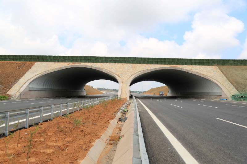 web__Z3A5966 web__Z3A5966