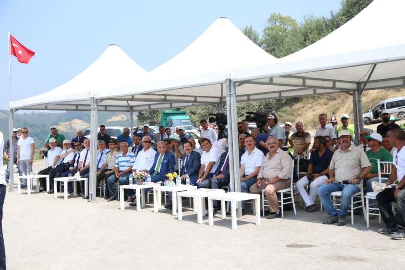 web_melen-3 web_melen-3