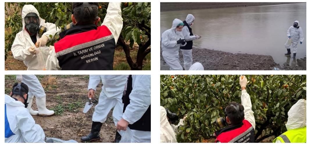 Akkuyu’da Radyasyon Acil Durumu Saha Tatbikatı