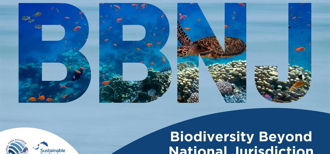 DKMP GENEL MÜDÜRLÜĞÜ, BBNJ ANLAŞMASI III. HAZIRLIK KOMİSYONU TOPLANTISI’NA KATILDI