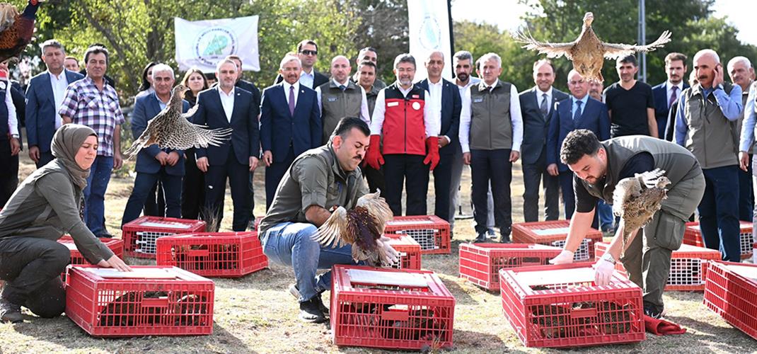 İSTANBUL'DA 200 SÜLÜN DOĞAYLA BULUŞTU