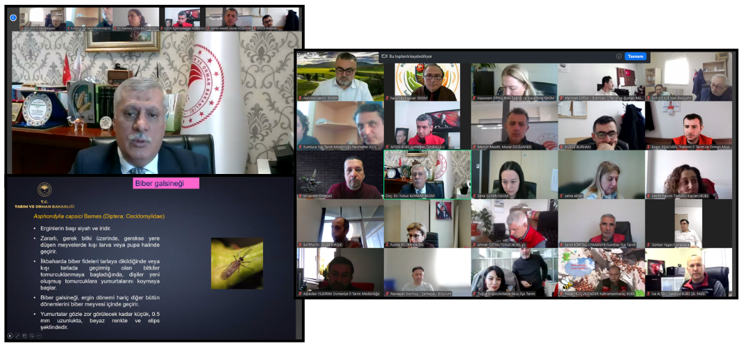 BİYOLOJİK VE BİYOTEKNİK MÜCADELE EĞİTİM TOPLANTISI DÜZENLENDİ
