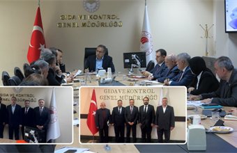 B-REÇETE SİSTEMİNİN HAYATA GEÇİRİLMESİNE YÖNELİK İSTİŞARE TOPLANTISI GERÇEKLEŞTİRİLDİ