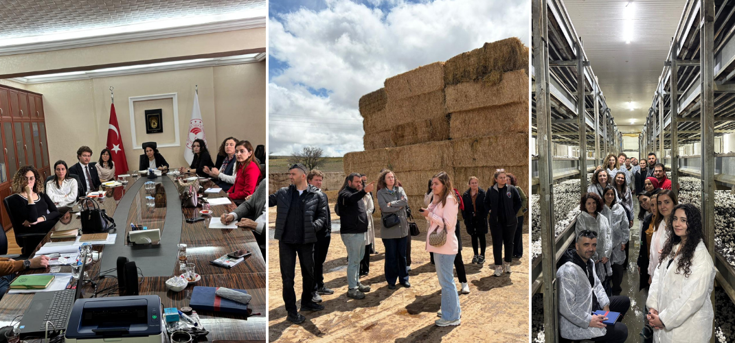 ENTEGRE MÜCADELE TEKNİK PERSONELLERİ İÇİN İLLER ARASI TEKNİK GEZİ DÜZENLENDİ