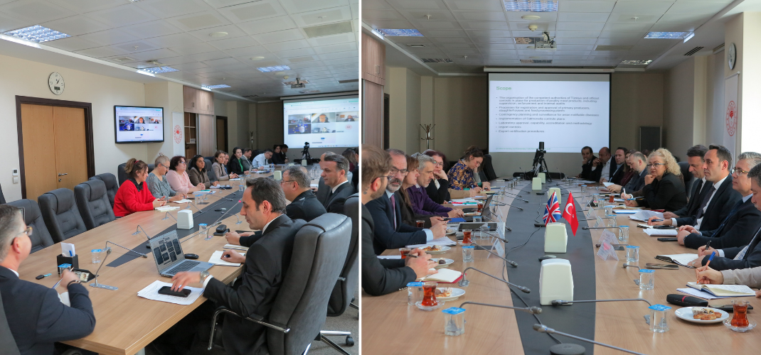 İNGİLTERE’YE ISIL İŞLEM GÖRMÜŞ KANATLI ETİ İHRACATINA YÖNELİK ÇALIŞMALAR BAŞLATILDI