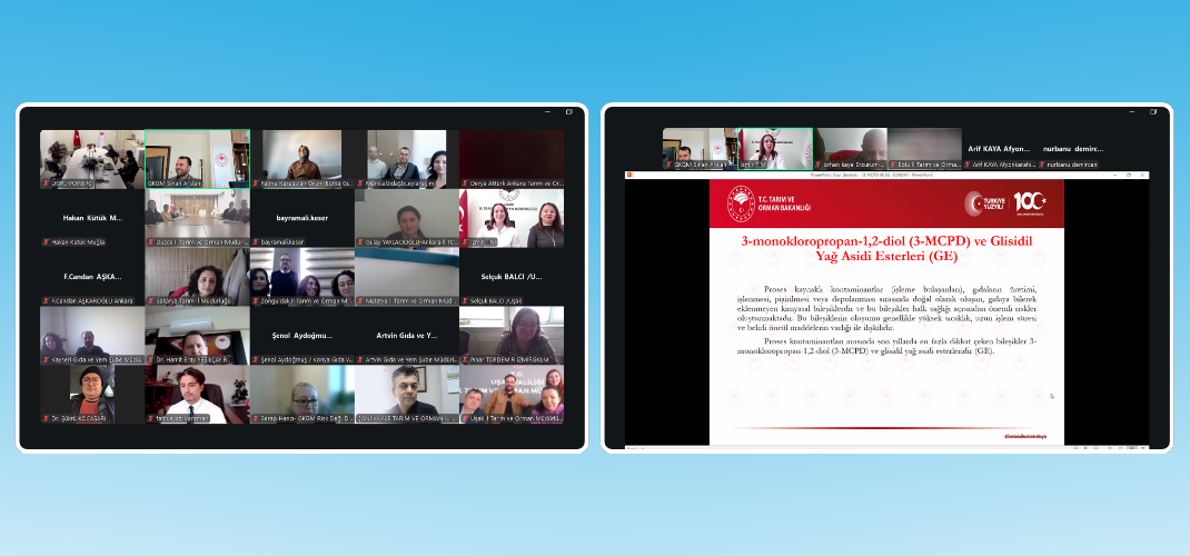 BULAŞAN İL SORUMLULARI İLE GIDALARDA 3-MCPD VE GE BULAŞANLARINA YÖNELİK DEĞERLENDİRME TOPLANTISI GERÇEKLEŞTİRİLDİ