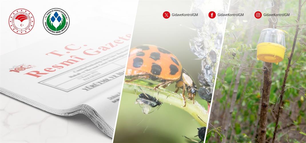 B-REÇETE TAKİP SİSTEMİNİ İÇEREN BİTKİ KORUMA ÜRÜNLERİNİN UYGULANMASI VE DENETİMİNE DAİR YÖNETMELİK YAYIMLANDI