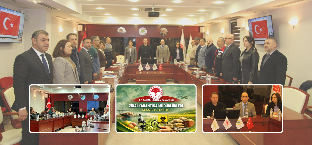 ZİRAİ KARANTİNA MÜDÜRLÜKLERİ İSTİŞARE TOPLANTISI MENEMEN’DE GERÇEKLEŞTİRİLDİ