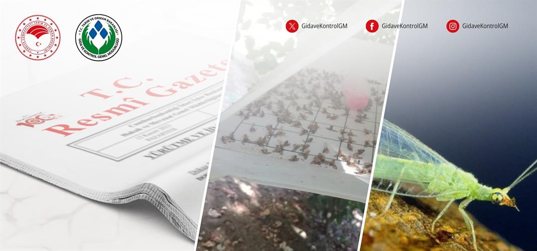 BİTKİ KORUMA ÜRÜNLERİNİN TOPTAN VE PERAKENDE SATILMASI İLE DEPOLANMASINA İLİŞKİN YÖNETMELİKTE DÜZENLEMELER YAPILDI