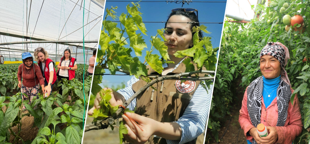 BİYOLOJİK VE BİYOTEKNİK MÜCADELE DESTEK ÖDEMELERİ TAMAMLANDI