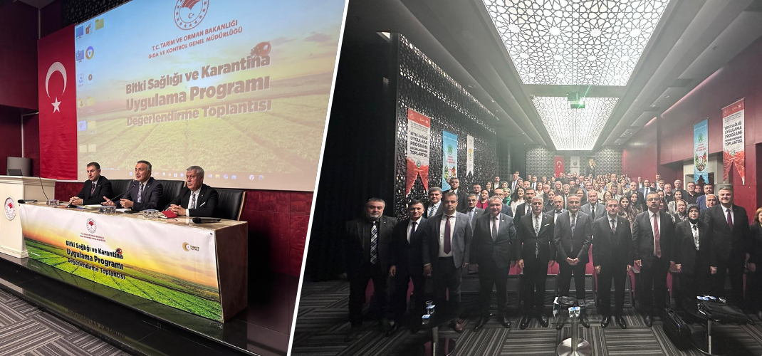 BİTKİ SAĞLIĞI DEĞERLENDİRME TOPLANTISI TAMAMLANDI