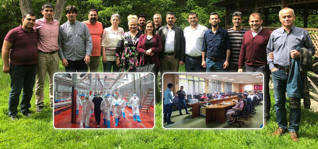 NAKİLDE VE KESİMDE HAYVAN REFAHI EĞİTİMİ DÜZENLENDİ