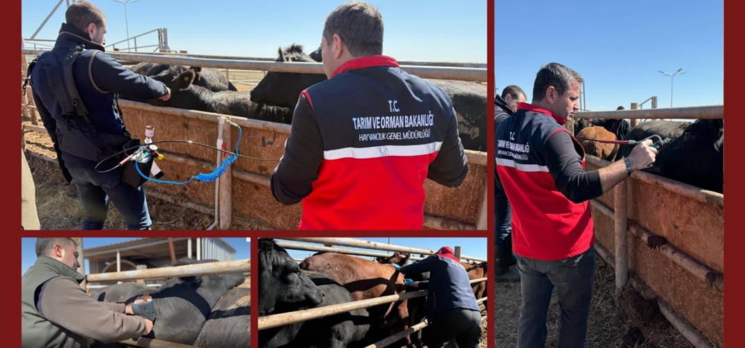 Aşıların “İğnesiz Enjeksiyon Yöntemi” İle Uygulanmasına Yönelik İlk Adım